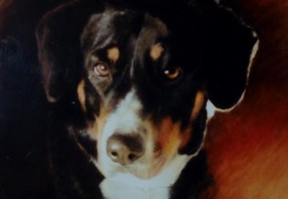 'Suse' Hundeportrait, Pastellkreide, 50 x 60